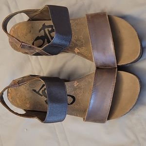 Pewter Bushnell otbt